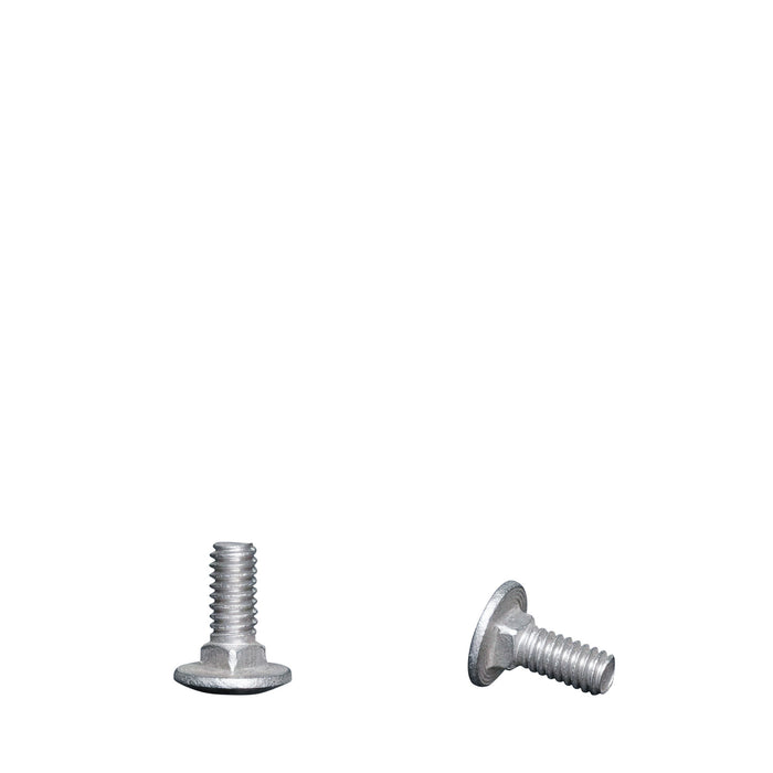 Stainless Steel 1/4" x 5/8" Carriage Bolt