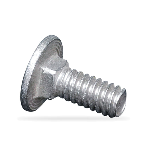 Stainless Steel 1/4" x 5/8" Carriage Bolt
