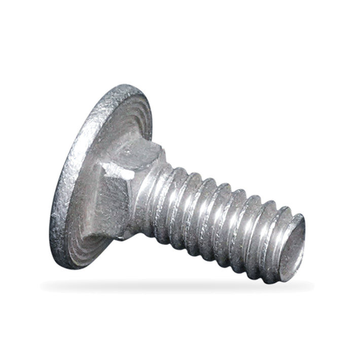 Stainless Steel 1/4" x 5/8" Carriage Bolt