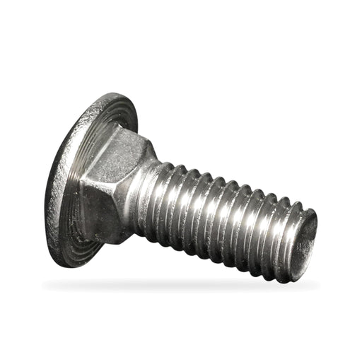 Stainless Steel 3/8" x 1" Carriage Bolt