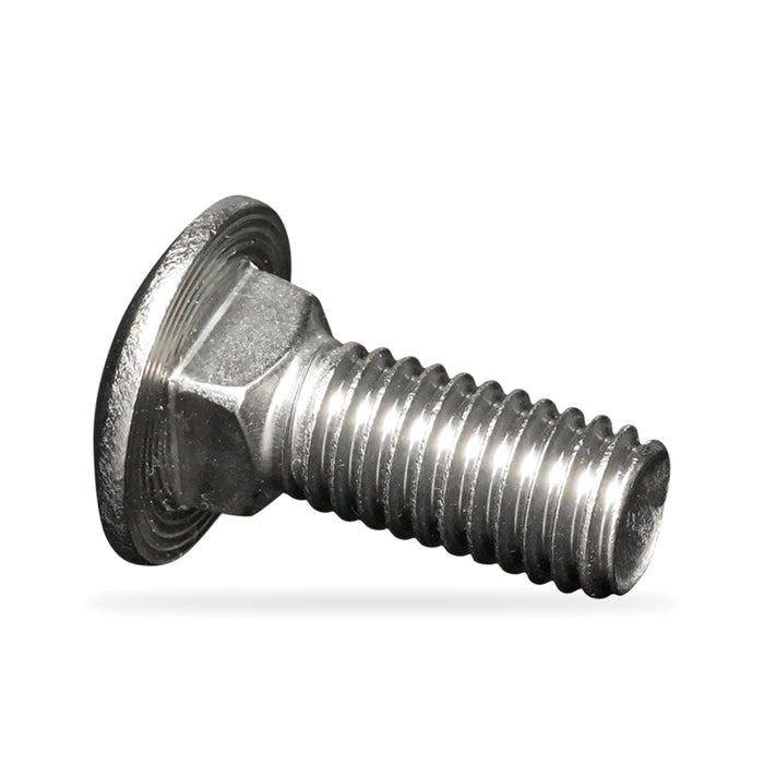 Stainless Steel 3/8" x 1" Carriage Bolt