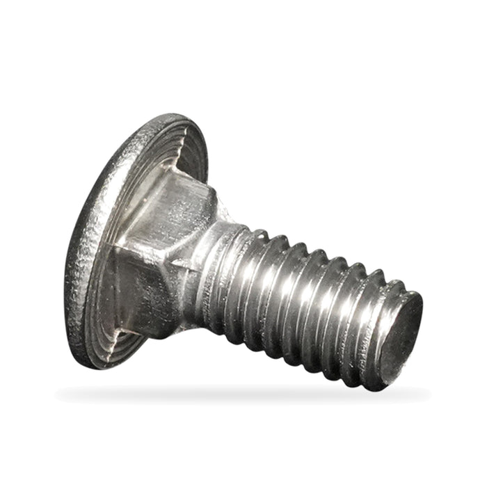Stainless Steel 5/16" x 3/4" Carriage Bolt