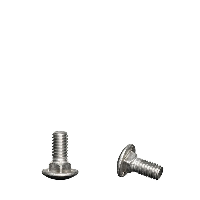 Stainless Steel 5/16" x 3/4" Carriage Bolt