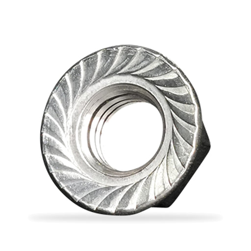 Stainless Steel 1/4"-20 Flanged Serrated Hex Nut